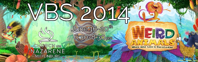 vbs2014fbpage